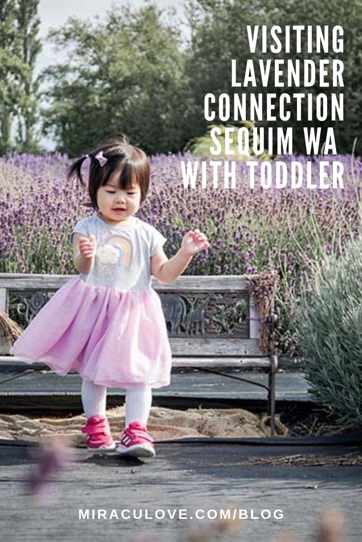 Visiting Lavender Connection Sequim with Toddler